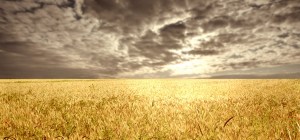 Ruth-1-When-Gods-Providence-Seems-Very-Bitter